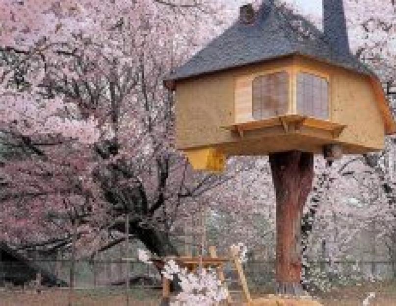 Дом на дереве — как построить проект своей мечты. Как сделать домик на дереве своими руками: строим шалаш Самый простой домик на дереве