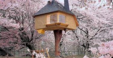 Как сделать домик на дереве своими руками: строим шалаш Самый простой домик на дереве